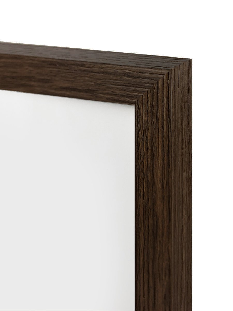 yzydeco 6 medinis remelis kampas