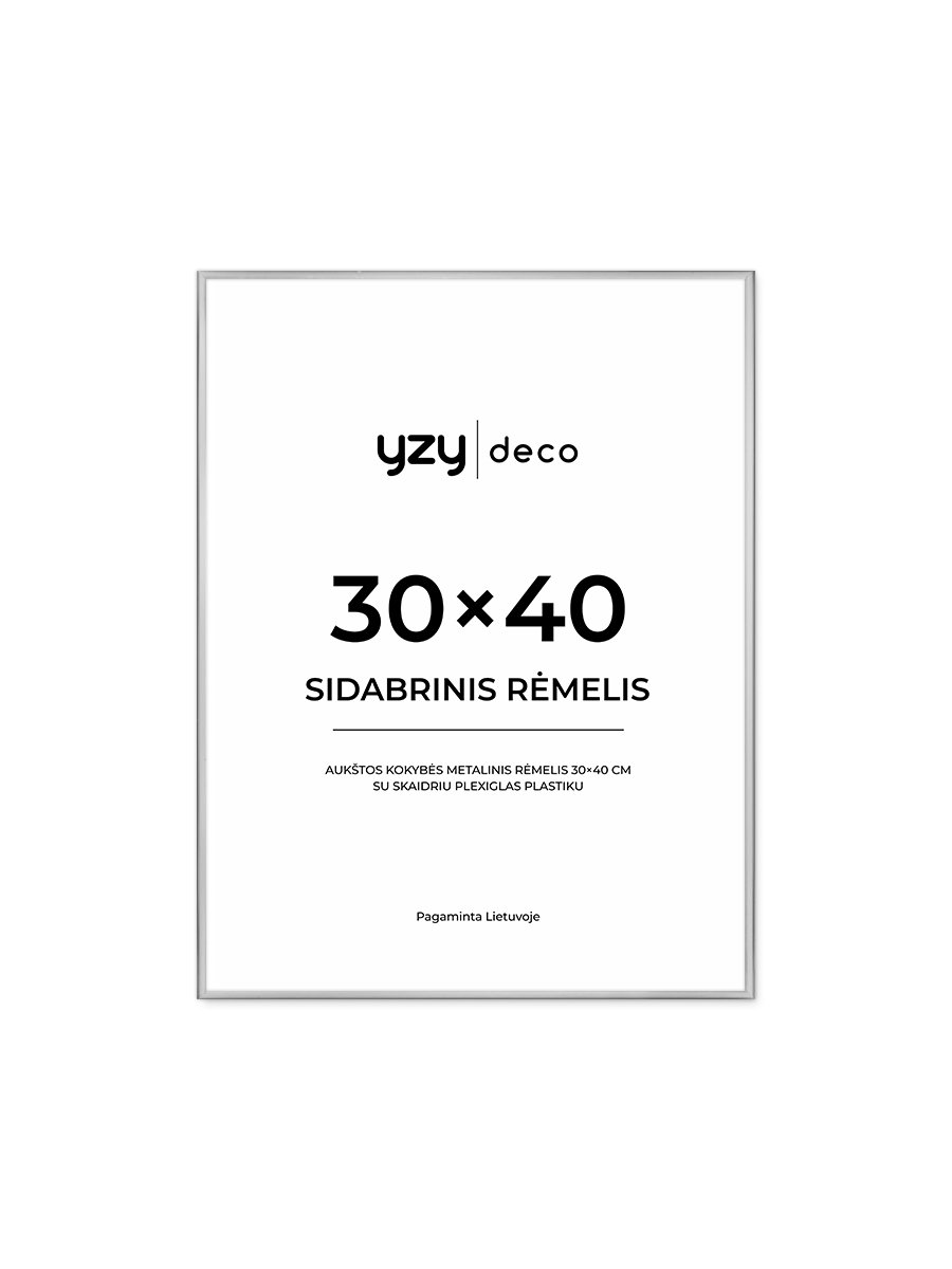 yzydeco Remelis sidabrinis metalinis 30×40 cm